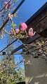 IMG-20200420-WA0013