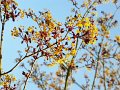 IMG-20200422-WA0006