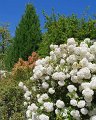 IMG-20200422-WA0017