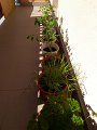 IMG-20200428-WA0022