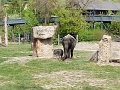 IMG-20200428-WA0031