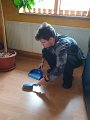 IMG-20200326-WA0011