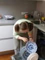 IMG-20200326-WA0040