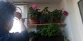 IMG-20200401-WA0002