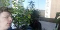 IMG-20200401-WA0003