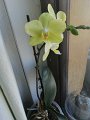 IMG-20200401-WA0024