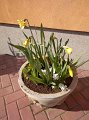 IMG-20200401-WA0056