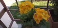 IMG-20200402-WA0002