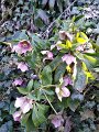 IMG-20200403-WA0012