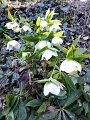 IMG-20200403-WA0013
