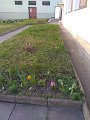 IMG_20200324_153714