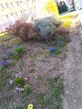 IMG_20200401_161413