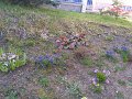 IMG_20200401_161433