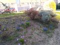 IMG_20200401_161444