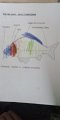 IMG-20200322-WA0008