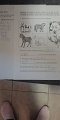 IMG-20200322-WA0010