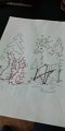 IMG-20200519-WA0002