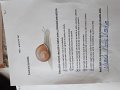 IMG-20200521-WA0002