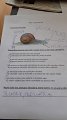IMG-20200522-WA0026
