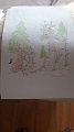 IMG-20200524-WA0010