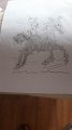 IMG-20200524-WA0011