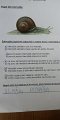IMG-20200525-WA0044