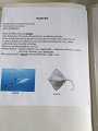 IMG-20200326-WA0010