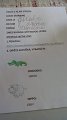 IMG-20200408-WA0000