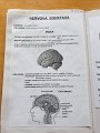 IMG-20200414-WA0009