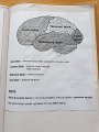 IMG-20200414-WA0010