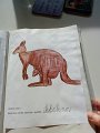IMG-20200415-WA0027