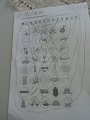 IMG-20200417-WA0011