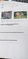 IMG-20200420-WA0048
