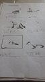 IMG-20200423-WA0027