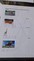 IMG-20200423-WA0028