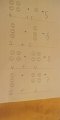 IMG-20200427-WA0036