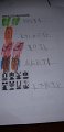 IMG-20200429-WA0037
