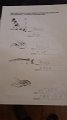IMG-20200430-WA0029