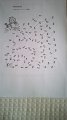 IMG-20200503-WA0003