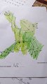IMG-20200504-WA0021