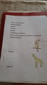 IMG-20200508-WA0023