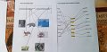 IMG-20200509-WA0014
