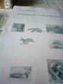 IMG-20200510-WA0021
