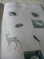 IMG-20200510-WA0024