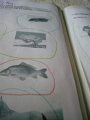 IMG-20200510-WA0025