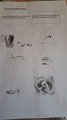 IMG-20200516-WA0001
