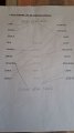 IMG-20200516-WA0004