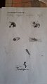 IMG-20200516-WA0005