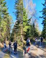 IMG-20200411-WA0008