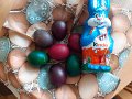 IMG-20200413-WA0003